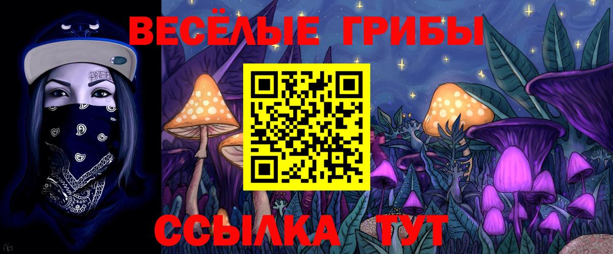 Псилоцибиновые грибы ЛСД Заводоуковск