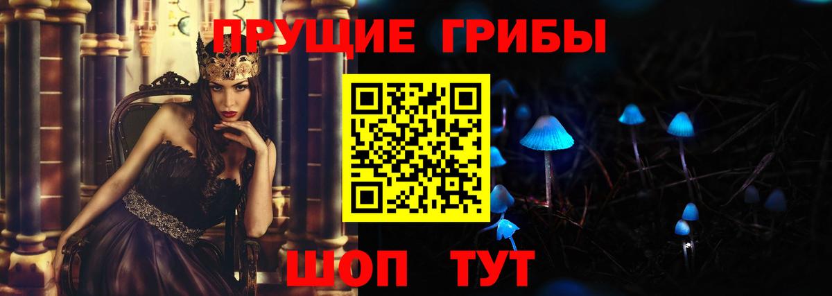 что такое наркотик  Галлюциногенные грибы GOLDEN TEACHER  Вход с VPN  Заводоуковск 